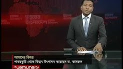 পাথরকুচি পাতা