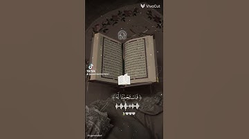 القرآن الكريم راحه نفسيه 🤍🎧🍃❤🩹❤🩹 #اكسبلور #لايك #اكسبلور