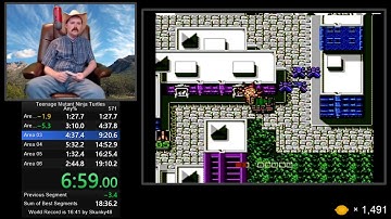 Teenage Mutant Ninja Turtles NES speedrun in 18:55 by Arcus