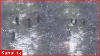 Drone DESTROYS Russians advancing in the forest – The last walk