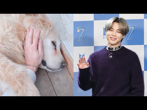 200421 K-POP TODAY（BTS / CHUNG HA / CRAVITY）