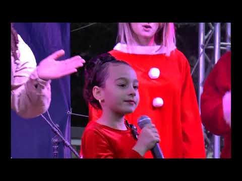 ,,მატყუარა ჩიტი\" - ლიკა ომიაძე