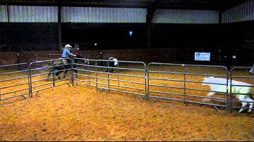 Valley View Ranch - Mousey Legacy - sorting 3