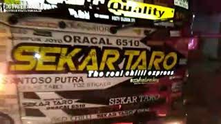sekar taro bosCABE JAWA TIMUR sekar taro COVER LAGU Dj