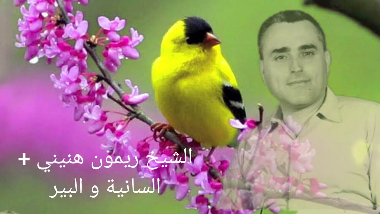 الشيخ ريمون هنيني + السانية و البير