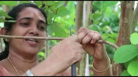 Std 7 Basic Science Unit 1 Class 02 White Board ASD