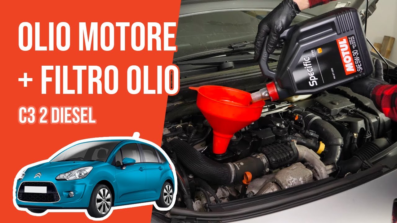 Cosa Si Può Curare Con L'olio 31