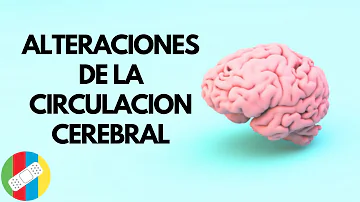 ¿Cómo se siente la falta de flujo de sangre al cerebro?