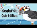 Seabird Adaptations and Characteristics