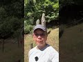 宇佐の異世界