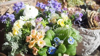 《カラフルな冬の花の寄せ植え》長期お出かけ時の水やり方法もご紹介《T's Gardenのガーデニング》
