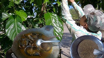 Lịch Um Lá Nhàu - Đặc Sản Miền Tây | Miền Tây Nước Mặn |