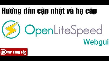[ OLS - WP 16] Cập nhật và hạ cấp Openlitespeed webserver