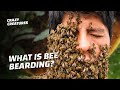Why Is This Man Covered in Bees?
