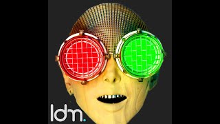 Duke Dumont  Red Light Green Light ldm Remix 2020