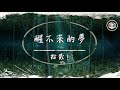 拾貳！ - 醒不來的夢【動態歌詞】「你是我觸碰不到的風 醒不來的夢」♪