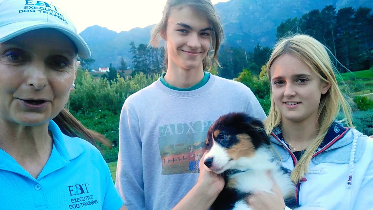 Bespoke In-Home Dog Training | Client Review | Cape Town, PE, Garden Route | Executive Dog Training