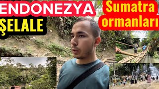 CENNET GİBİ ENDONEZYA- SUMATRA ORMANLARI-ŞELALE