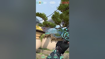 Sova Haven Lineup for A Long