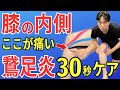 【ひざの内側が痛い】鵞足炎に効くマッサージ・ストレッチ法 ９選 | 大阪市都島区 さかとう整骨院#055