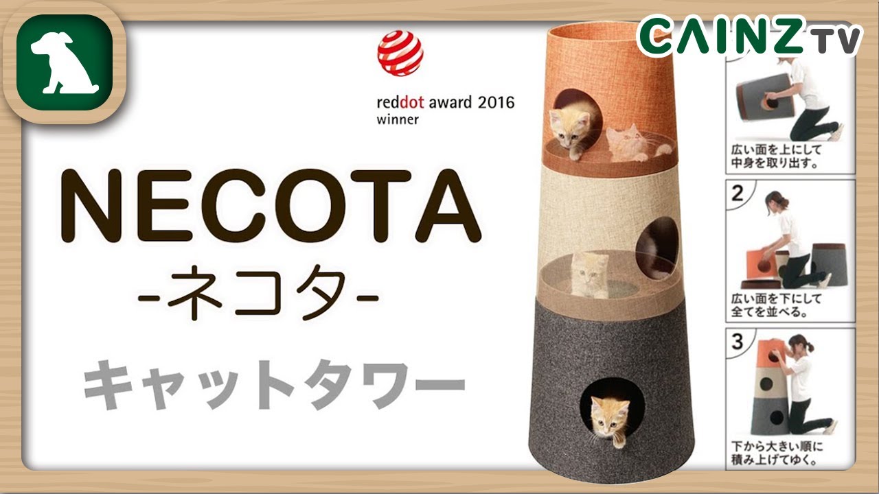 期間限定特別価格 キャットタワー カインズ NECOTA 猫用品