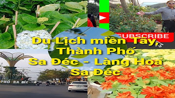 Du Lịch MIền Tây | Thành phố Sa Đéc - Làng Hoa Sa Đéc | Hoài Lương Vlog