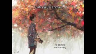 Huang Pin Yuan: 你怎么舍得我難過 'How can you let me be in sorrow? (國) 【English   Pinyin】