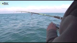 Trailer Pescando Entre Amigos