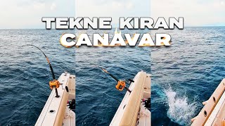 Tekne Kıran Dev Canavar  Viral Olan Video 200 Milyon İzlenme