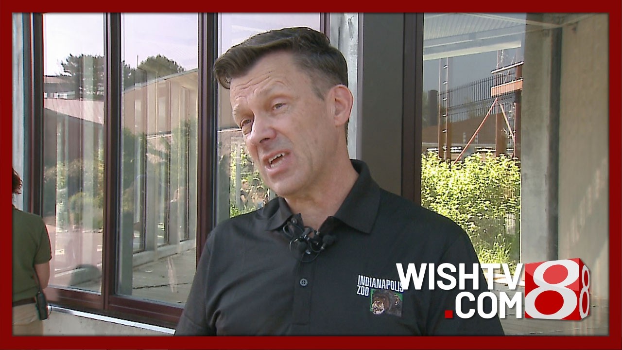 Президент и генеральный директор зоопарка Индианаполиса взял отпуск.
