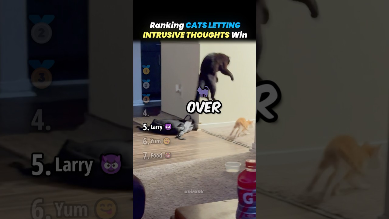 Ranking CATS LETTING INTRUSIVE THOUGHTS WIN Core Moments!! 🐱😈
