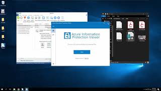 Celebrity Spirion SDM & MPIP Integration Profile
