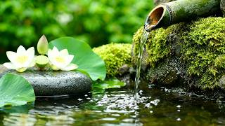 Restful Evening Music | Warm Piano Music and Calming Water Sounds through Calm Bamboo Water Garden screenshot 4