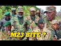 M23 IRI KUGAMBANIRWA INTUMWA ZA LONI YANZE KO ZIYISURA IMYITWARIRE YAYO IRAYIVANA MU BICE YAFASHE M23 IRI KUGAMBANIRWA INTUMWA ZA LONI YANZE KO ZIYISURA IMYITWARIRE YAYO IRAYIVANA MU BICE YAFASHE