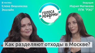 Как разделяют отходы в Москве? Интервью с ЭкоЛайн