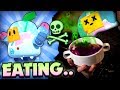 Eating This Until I UNLOCK SPROUT? - Maxed Sprout Brawl Box Opening + Gameplay! - Brawl Stars