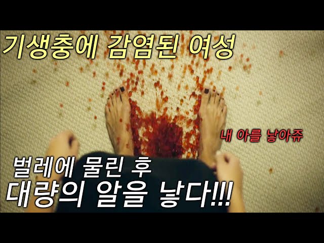 휴양지에서 벌레에 물린 후 대량의 알을 낳게 된 존예 여성! (이건 대체 무슨 바이러스야?!)/영화리뷰/바이트/영화결말/기생충 감염영화