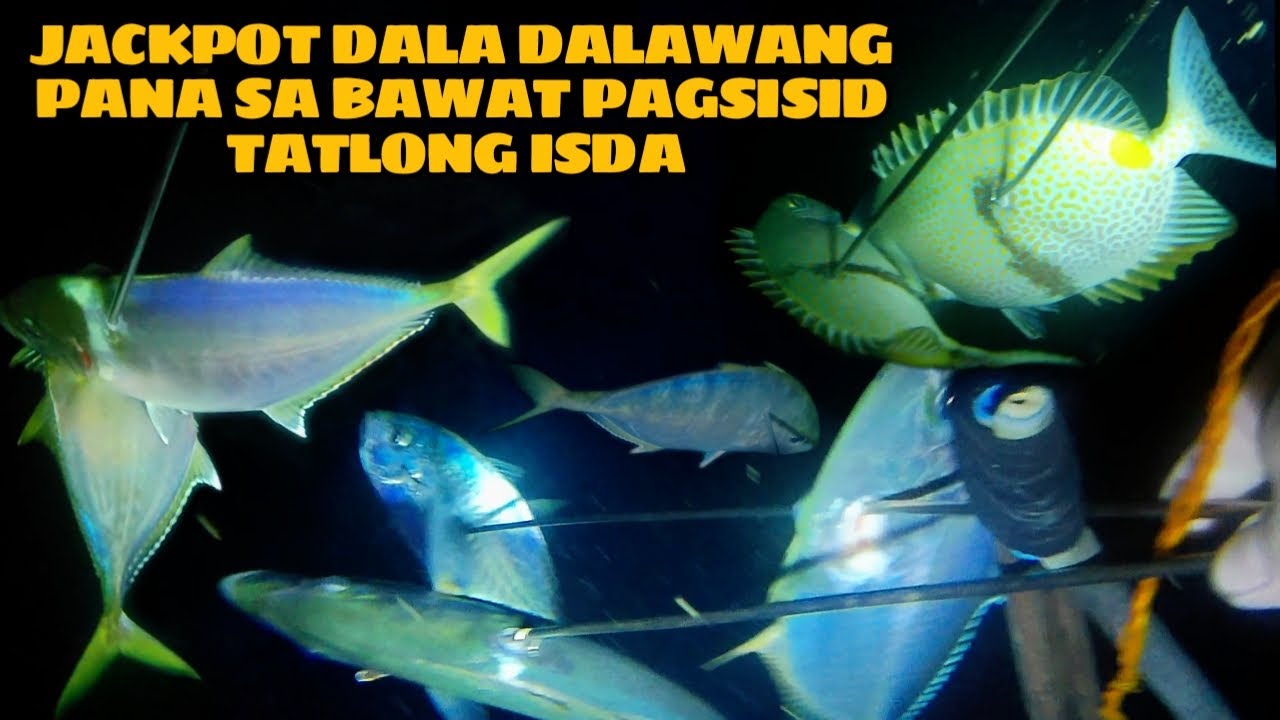 EP 192: JACKPOT DALA DALAWANG PANA NA SABAWAT PAG SISID TATLONG ISDA Night Spearfishing Philippines