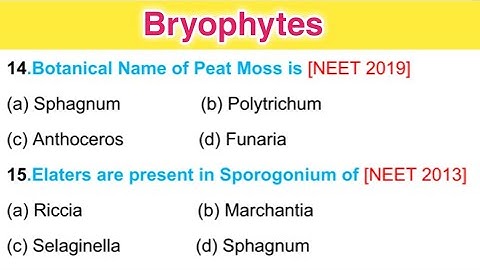 Bryophytes mcqs with answers || Bryophytes tgt
