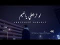 Abdulgani Barakat Official Music Video لو ترجعلي ياغيم عبدالغني بركات 
