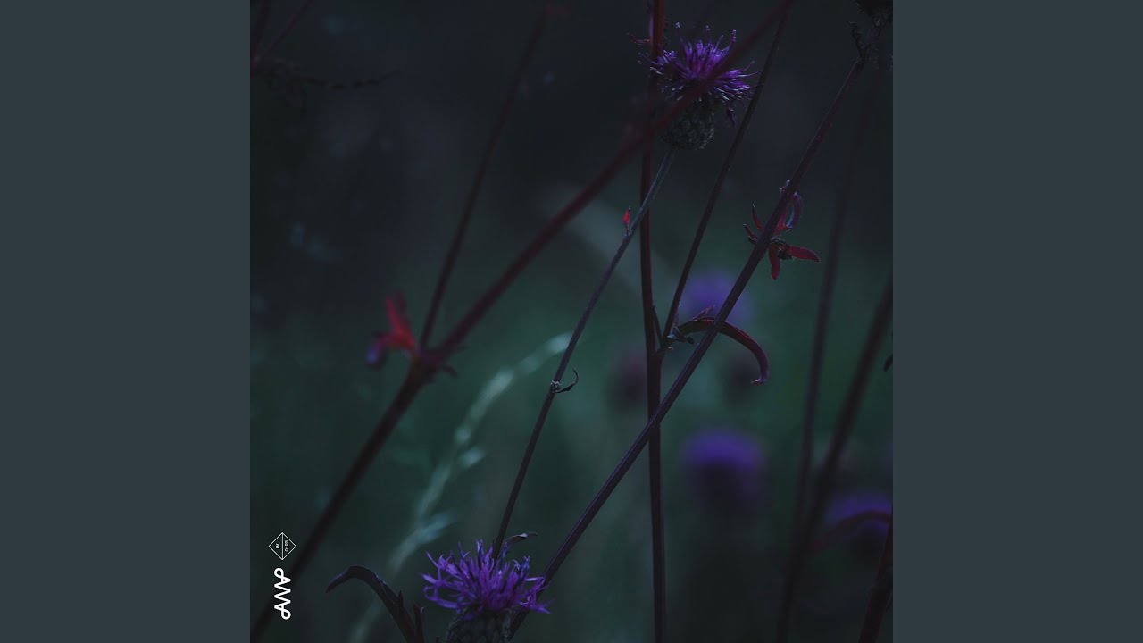 Watch Cicadas on YouTube Watch Cicadas on YouTube