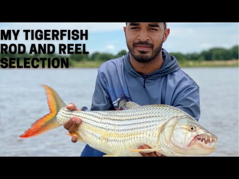 My Tigerfish Rod and Reel Selection 
