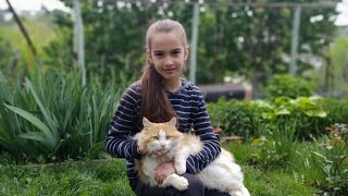Знакомьтесь КОТ Лаврик или как я два года назад спасла КОТЕНКА в Парке ! Знакомьтесь КОТ Лаврик или как я два года назад спасла КОТЕНКА в Парке !