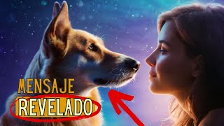 CONEXIONES SECRETAS: PERROS en el MUNDO de los SUEÑOS