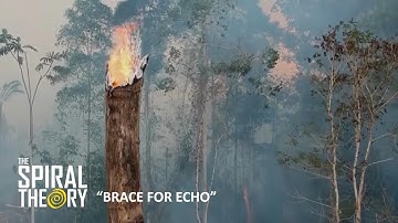 The Spiral Theory - Brace for Echo (Official Video)