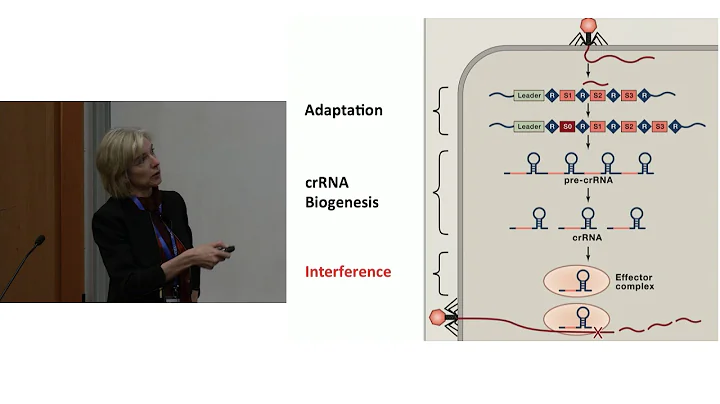 Jennifer Doudna: CRISPR Basics - DayDayNews