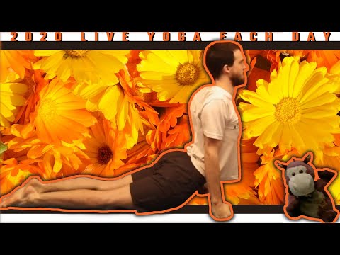 108 sun salutes - Beginner Yoga & Med. | Day 282