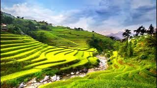 Pemandangan Alam  🟢 VIDEO BACKGROUND -  BEBAS UNDUH 🟢 VIDEO = 357