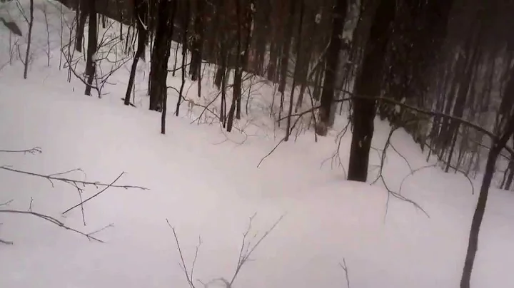 Camels Hump Backcountry Skiing