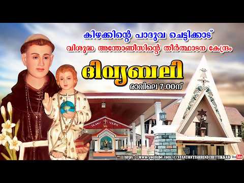 11 JULY 2026  ||  ദിവ്യബലി ||  ST. ANTONYS SHRINE CHETTIKKAD